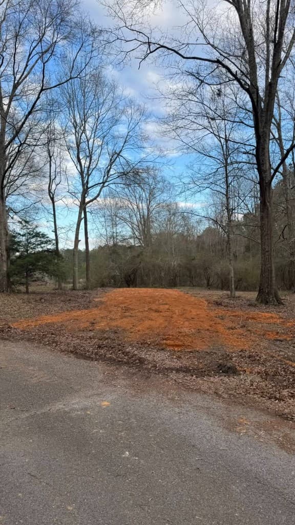 Before land clearing