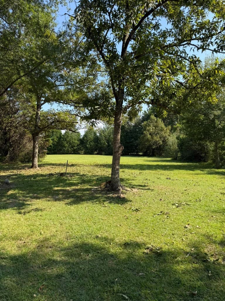 Southern Roots Land Solutions