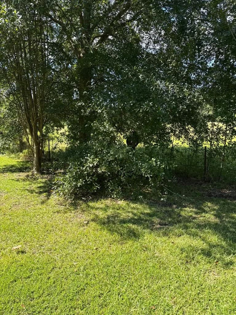 Lawn and landscape property