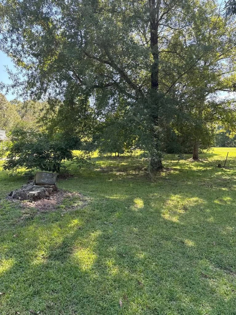 Property with lawn trees and stump