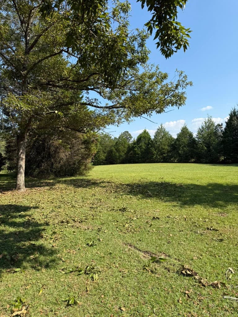 Open grassy field and tree line